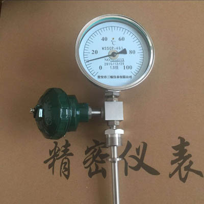 一體化帶遠傳溫度計WTY-1031